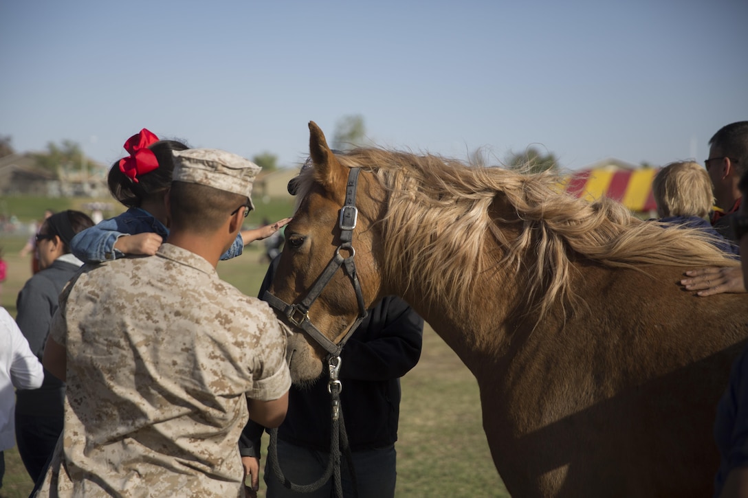 Combat Center patrons meet Ares, a horse from the Marine Corps Mounted Color Guard, during the Earth Day Extravaganza aboard the Combat Center at Lincoln Military Housing Athletic Field April 15, 2016. (Official Marine Corps photo by Cpl. Connor Hancock/Released)