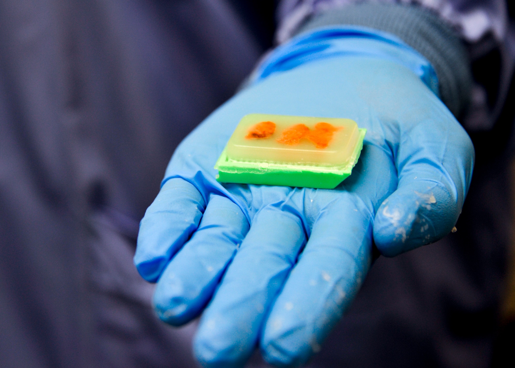 A hardened wax block of patient tissue sits ready to be processed March 30 at Eglin Air Force Base, Fla. Histology technicians slice the wax blocks of patient tissue to form thin ribbons and transfer them onto microscopic glass slides. The glass slides are studied by pathologists to make the patient’s diagnosis. (U.S. Air Force photo/Ilka Cole)