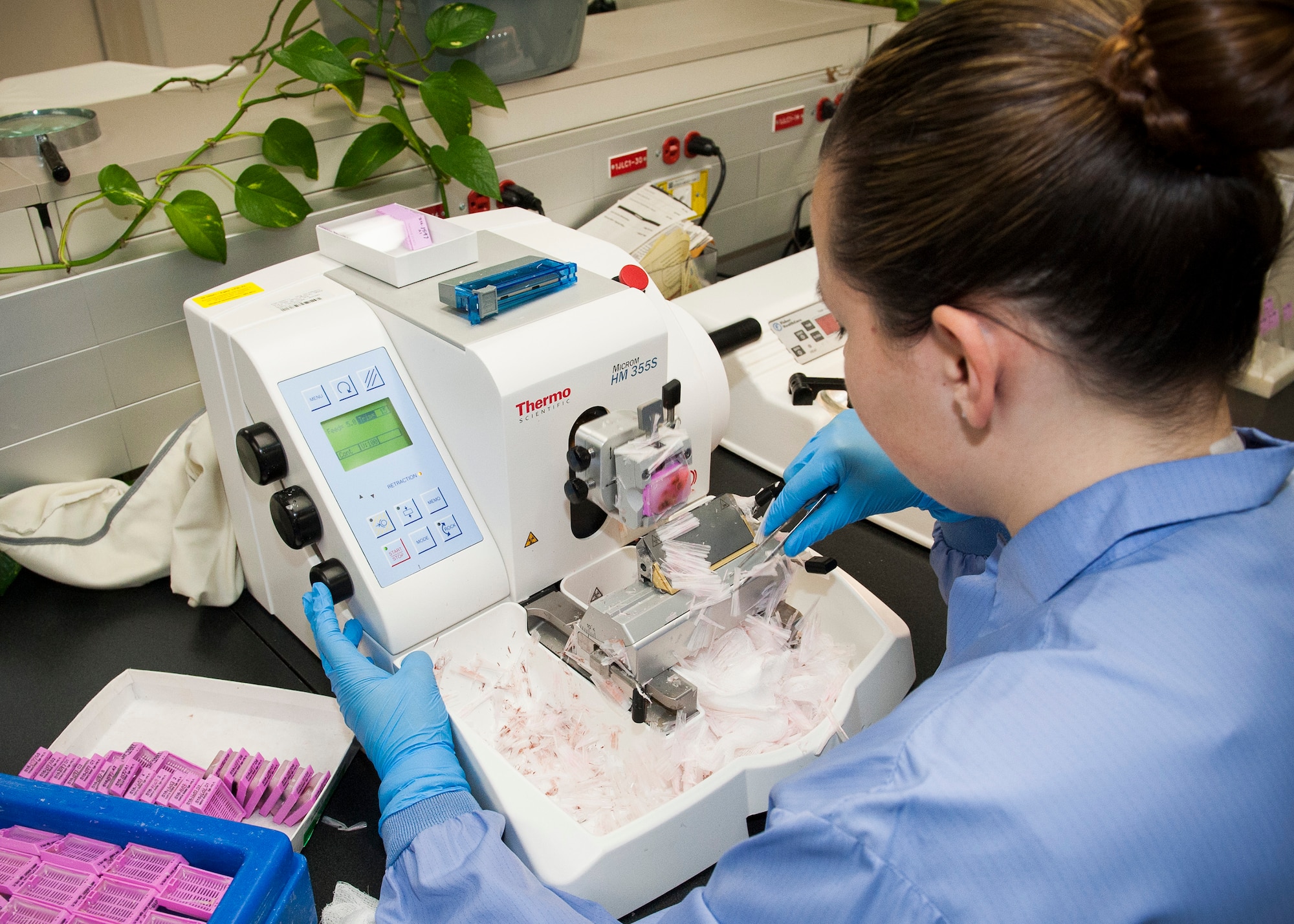 Airman 1st Class Emily Bodden, 96th Medical Group histology technician, slices a wax block of patient tissue March 30 at Eglin Air Force Base, Fla. Bodden slices the tissue in thin ribbons to transfer them onto a microscopic glass slide. The glass slides are studied by pathologists to make patients’ diagnosis. (U.S. Air Force photo/Ilka Cole)