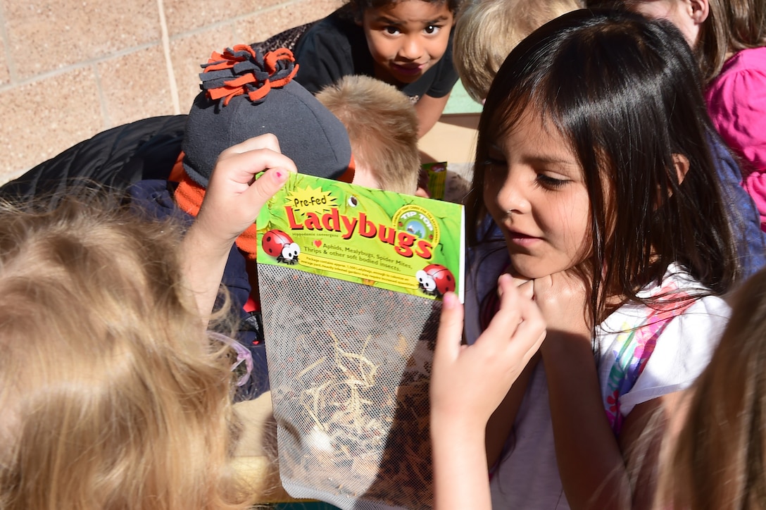A girl from the Crested Butte Child Development Center holds up a bag of ladybugs for her friend to inspect April 22, 2016, on Buckley Air Force Base, Colo. The children released ladybugs in commemoration of Earth Day which is celebrated globally each year. (U.S. Air Force photo by Airman 1st Class Luke W. Nowakowski/Released)