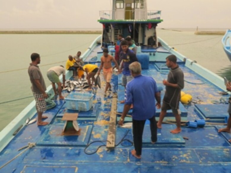 Fishermen in the Maldives offload their catch in Laamu Atoll.  Human-use activities, such as fishing, were recorded into the Laamu Atoll ESI atlas.