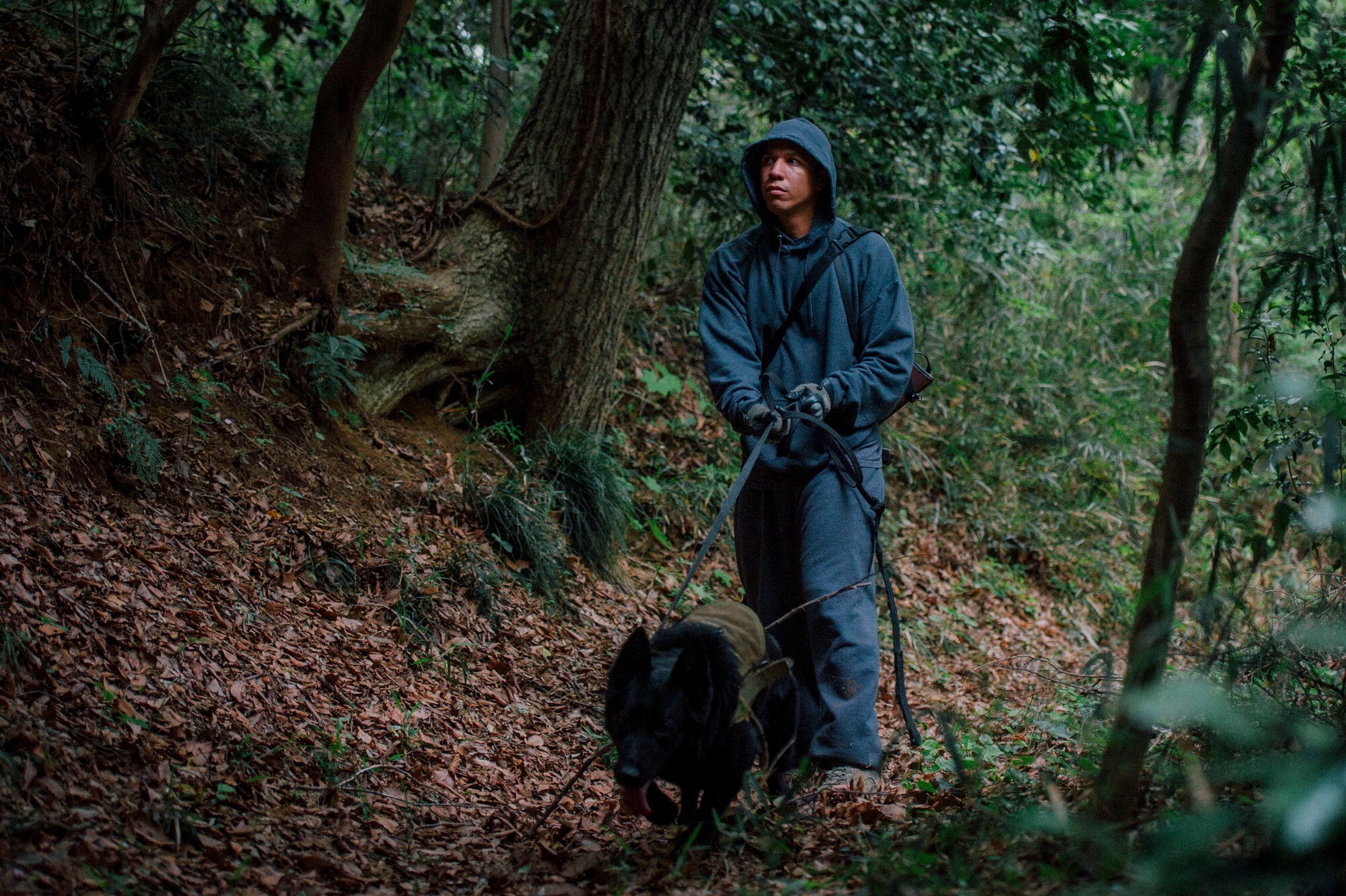 Staff Sgt. Edwin Ortiz, 374th Security Forces Squadron military working dog handler, searches for participants during Survival, Evasion, Resistance and Escape combat survival training at Tama Hills Recreation Area, Japan, April 21, 2016. The presence of K-9s enhanced the realism of the course as aircrew members practiced evasion skills. (U.S. Air Force photo by Senior Airman Delano Scott/Released)   