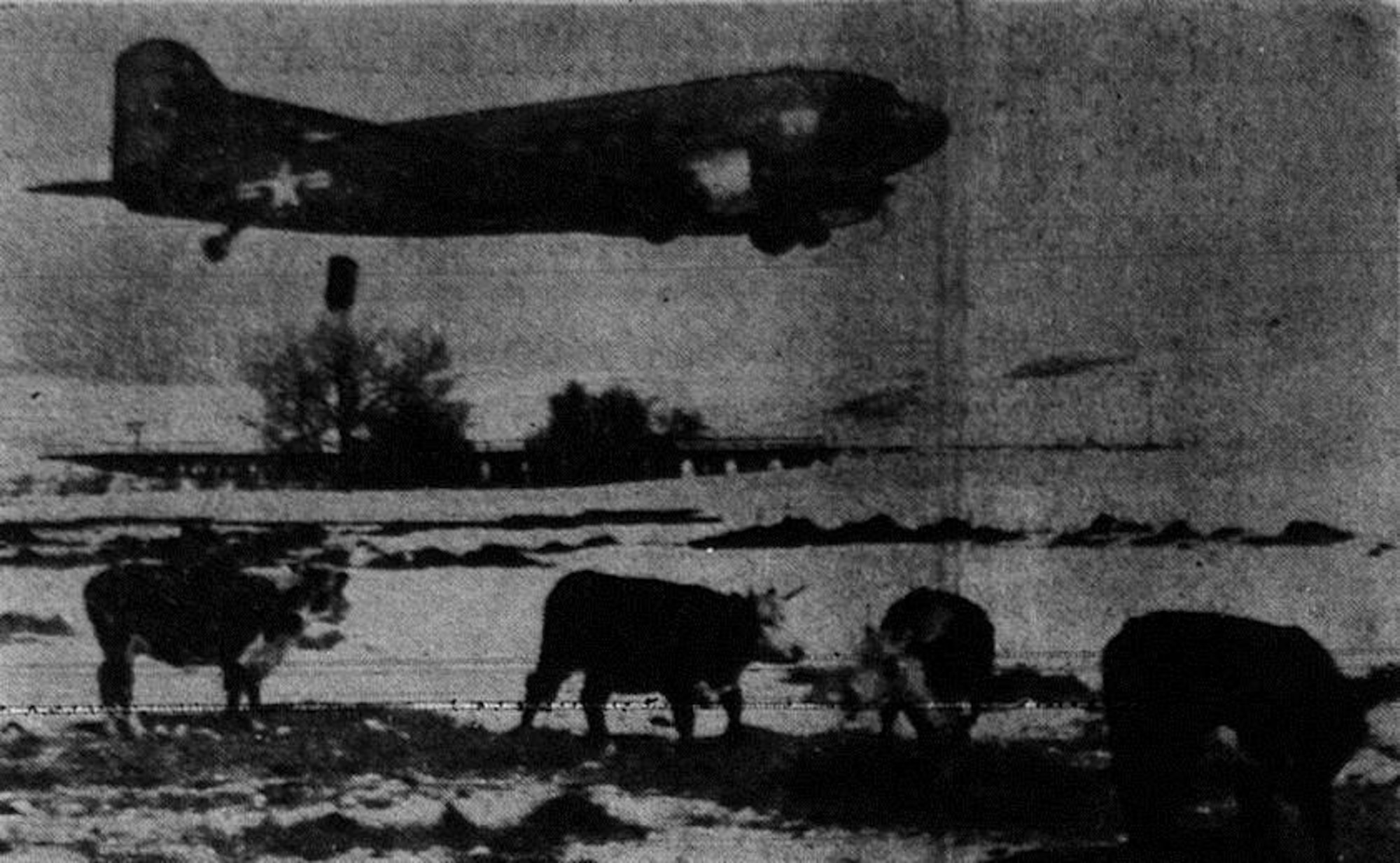 In the winter of 1948-1949, severe weather affected livestock and game all across the western United States.  Here, a USAF C-47 transport aircraft piloted by Capt. M. Peck drops a hay bale from low altitude to cattle on a ranch 12 miles northwest of Chadron, Nebraska, in another example of the peacetime application of airpower.  (Courtesy La Grande Observer, via Eastern Oregon University Library)