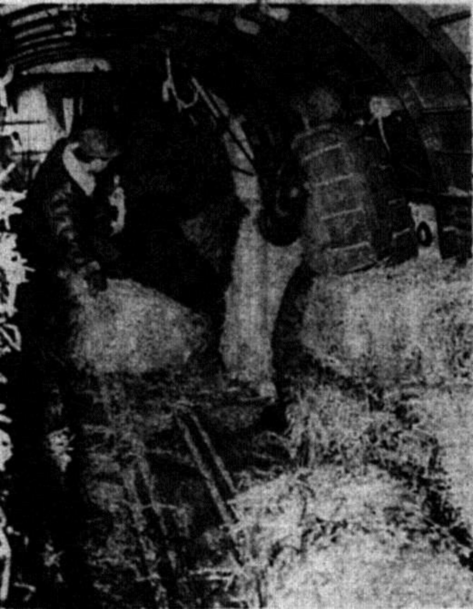 Crewman kick out another bale as hay swirls back into the plane through slipstream pressure.  Strauch (with parachute) and Ward release the 62 pound load, with assistance of Sgt. Donald Beevers, tied to ship (behind Ward). (Photo by Frank Schiro, courtesy La Grande Observer, via Eastern Oregon University Library)