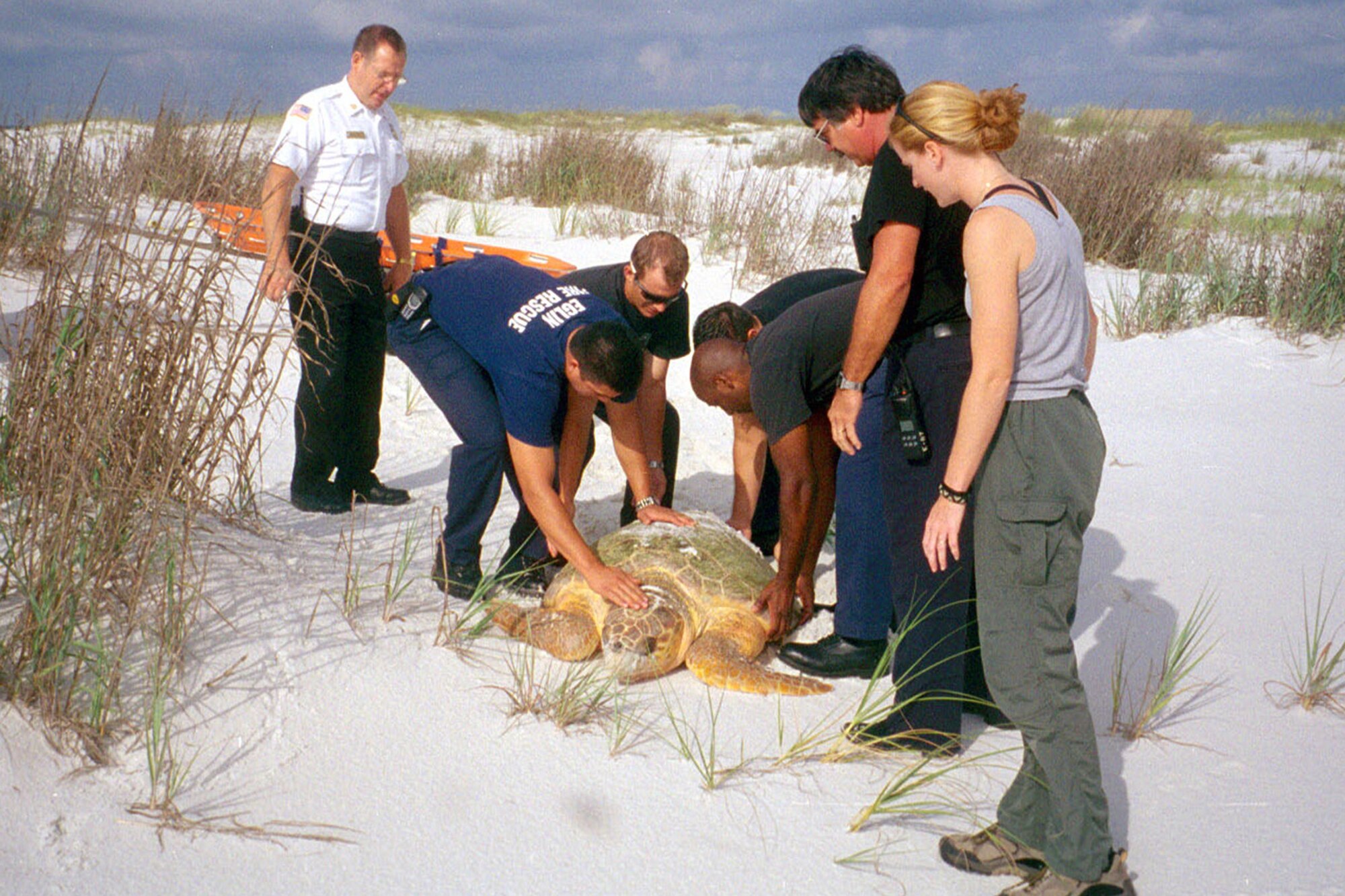 Team Eglin’s fire rescue staff assist environmental quality team members in rescuing a disoriented loggerhead sea turtle in Florida. Eglin volunteers contribute more than 2,000 hours to sea turtle monitoring annually. The Eglin EQ team received a 2016 Secretary of Defense Environmental Quality Award in the individual/team category. (Courtesy Photo)