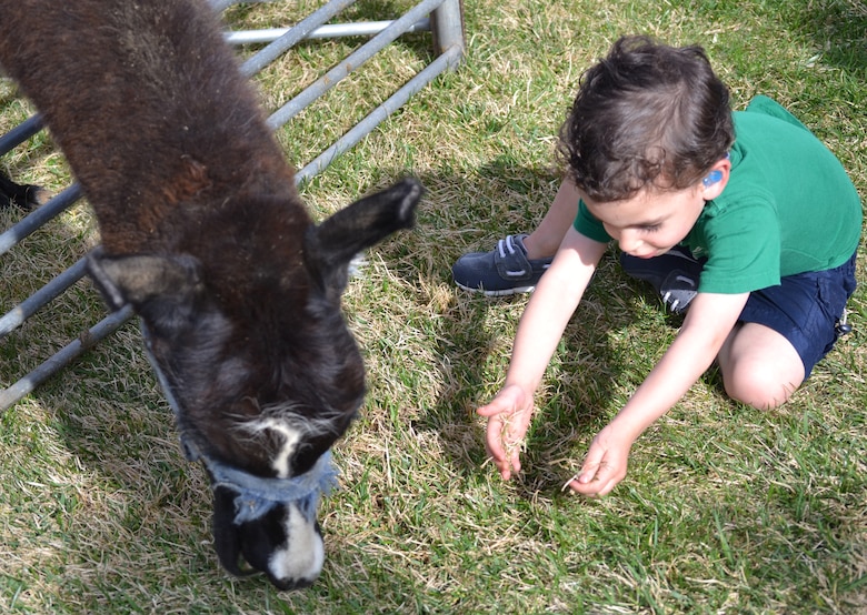 Jacoby Janaros attempts to feed a llama during the annual Earth Day event outside the Tierra Vista Community Center at Schriever Air Force Base, Colorado, Friday, April 22, 2016. The llama was part of a small petting zoo brought to the event where attendees could also dig for worms, decorate flower pots and take home flowers to begin their own garden for the year. (U.S. Air Force photo/Brian Hagberg)