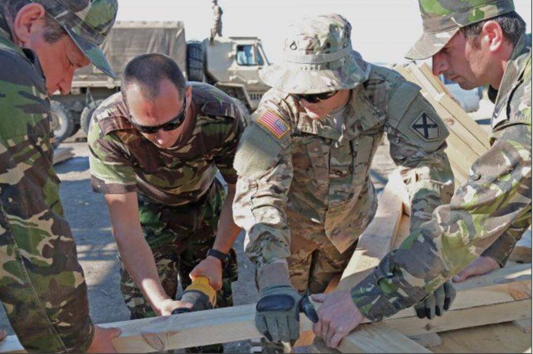 U.S. Army Pfc. Micheal Blackwelder, a carpenter with the 1151st Engineer Company, assists Romanian Soldiers with cutting support beams for an ammunition storage building Aug. 25, 2015 at Cincu Training Center, Romania. American and Romanian forces were working together in support of Exercise Resolute Castle 15.