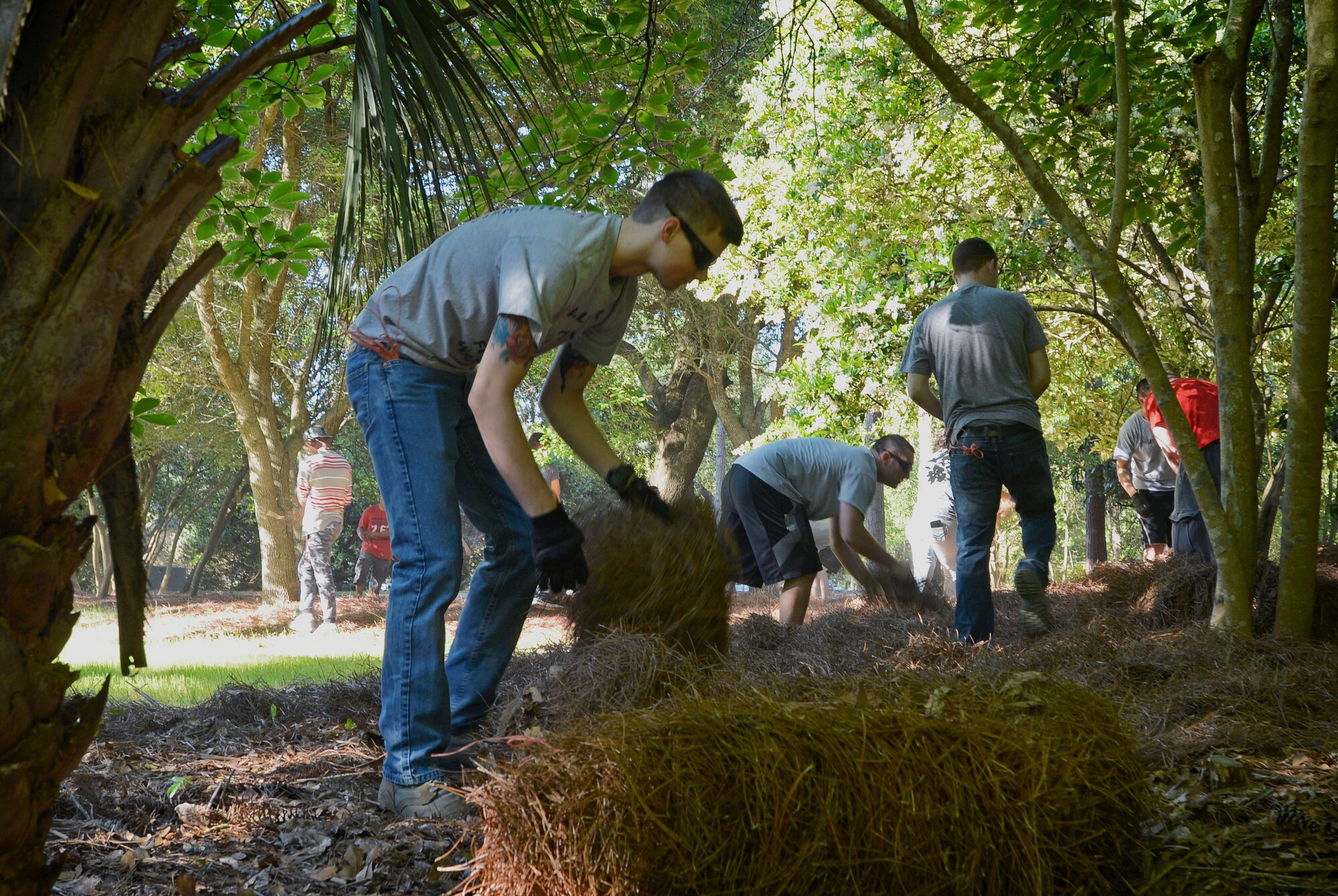 U.S. Airmen lay hay at Swan Lake and Iris Gardens in Sumter, S.C., April 29, 2016. Team Shaw Airmen spent several hours laying straw and picking up trash at Swan Lake and Sumter parks in an effort to improve to quality of life for all residents. (U.S. Air Force photo by Senior Airman Jensen Stidham)