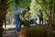 U.S. Airmen lay hay at Swan Lake and Iris Gardens in Sumter, S.C., April 29, 2016. Team Shaw Airmen spent several hours laying straw and picking up trash at Swan Lake and Sumter parks in an effort to improve to quality of life for all residents. (U.S. Air Force photo by Senior Airman Jensen Stidham)