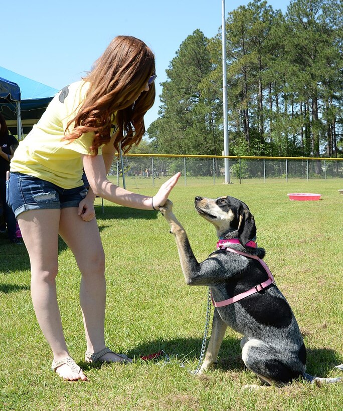Dixie Anna, a 9-month-old blue tick hound, takes second place in the best trick competition during Marine Corps Logistics Base Albany’s third annual Paws at the Park event at Crouch Field, April 23. Dixie Anna completed three tricks during the competition including a high-five, hand shake and low crawl, which she learned in about 30 minutes, according to her owner Kacee Guzman.