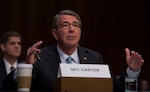 Secretary of Defense Ash Carter provides testimony to the Senate Armed Services Committee on counter-Islamic State of Iraq and the Levant operations and Middle East strategy at the Hart Senate Office Building in Washington D.C., Apr. 28, 2016. (Photo by Senior Master Sgt. Adrian Cadiz)