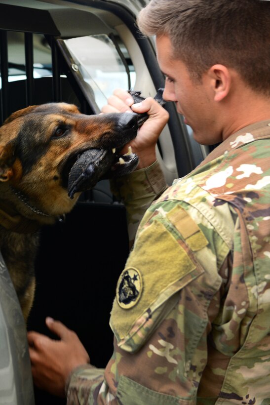 Army Pfc. Ian Smith plays with Faro, a military working dog, during the Arctic Thunder Special Needs and Family Day at Joint Base Elmendorf-Richardson, Alaska, July 29, 2016. Smith is a military working dog handler assigned to the 549th Military Working Dog Detachment. Air Force photo by Airman 1st Class Javier Alvarez