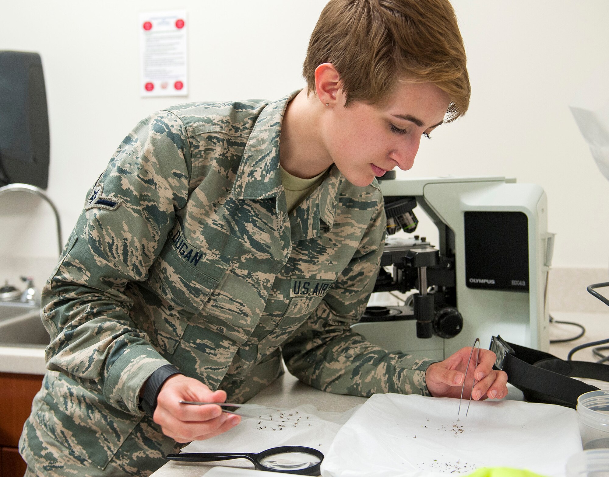 Airman Kristina Dugan, 96th Aerospace Medicine Squadron public health technician, counts and logs mosquitoes July 20 at Eglin Air Force Base, Fla. The information gathered from catching mosquitoes establishes baseline catch counts for several base locations. This helps the 96th Civil Engineer Group’s Pest Management Division determine the effectiveness of their mosquito control methods. The information is also shared with local and state health authorities. (U.S. Air Force photo/Ilka Cole)