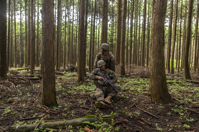 U.S. Marine Corps Cpl. Christian Marin, a heavy equipment mechanic with Marine Wing Support Squadron (MWSS) 171 stationed at Marine Corps Air Station Iwakuni, Japan, drags a simulated casualty during Exercise Eagle Wrath 2016 at Combined Arms Training Center Camp Fuji, July 29, 2016. During the exercises culminating event, Marines established a mock air base including a landing zone and refueling point, constructed defensive and machine-gun positions, and conducted convoys and patrols over the course of four days. MWSS-171 conducts this exercise once a year in order to train all the Marines within the squadron, enhance their technical skills, field experience and military occupational specialty capability. (U.S. Marine Corps photo by Lance Cpl. Aaron Henson)