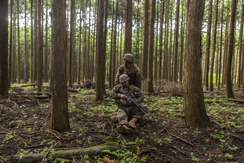 U.S. Marine Corps Cpl. Christian Marin, a heavy equipment mechanic with Marine Wing Support Squadron (MWSS) 171 stationed at Marine Corps Air Station Iwakuni, Japan, drags a simulated casualty during Exercise Eagle Wrath 2016 at Combined Arms Training Center Camp Fuji, July 29, 2016. During the exercises culminating event, Marines established a mock air base including a landing zone and refueling point, constructed defensive and machine-gun positions, and conducted convoys and patrols over the course of four days. MWSS-171 conducts this exercise once a year in order to train all the Marines within the squadron, enhance their technical skills, field experience and military occupational specialty capability. (U.S. Marine Corps photo by Lance Cpl. Aaron Henson)