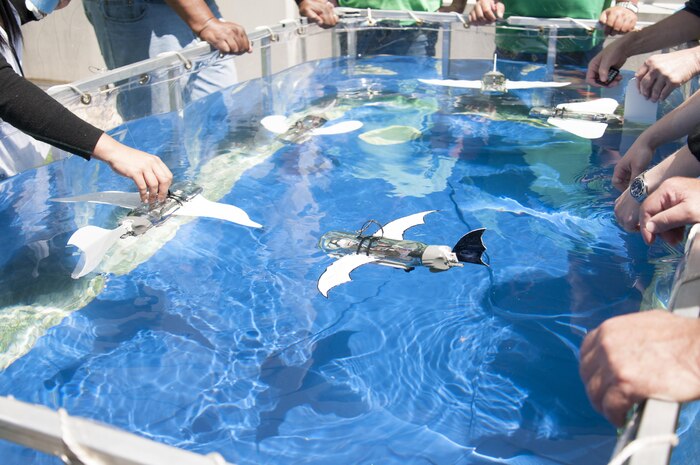 Participants in the Naval Surface Warfare Center, Carderock Division’s SeaGlide summer workshop geared toward educators, scientists and engineers test the structure and build of their gliders July 20, 2016 in West Bethesda, Maryland. During the week long workshop, participants learned how to operate and build a SeaGlide using various mechanical, engineering and electronic skills. (U.S. Navy photo by Megan Garcia/Released)