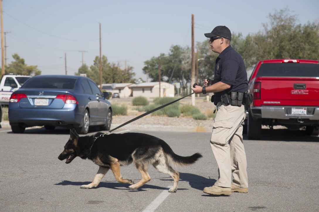 Officer Matt Howard and his K-9 Dex respond to a report of a suspicious package during a training exercise held aboard Marine Corps Logistics Base Barstow, Calif., July 26. The team swept the area in search of other potentially dangerous objects while a team from the San Bernardino County Sheriff's Office also responded to assist with removal of the package. 