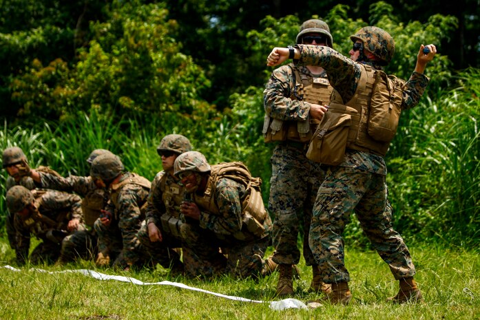 A U.S. Marine with Marine Wing Support Squadron (MWSS) 171 stationed at Marine Corps Air Station Iwakuni, Japan, throws an M69 practice grenade as part of a grenade training range during exercise Eagle Wrath 2016 at Combined Arms Training Center Camp Fuji, July 11, 2016. The annual exercise focuses on providing aviation-ground support to an assigned aviation combat element while reinforcing skills that Marines learned throughout their military occupational specialty schooling and Marine Combat Training. (U.S. Marine Corps photo by Lance Cpl. Aaron Henson/Released)