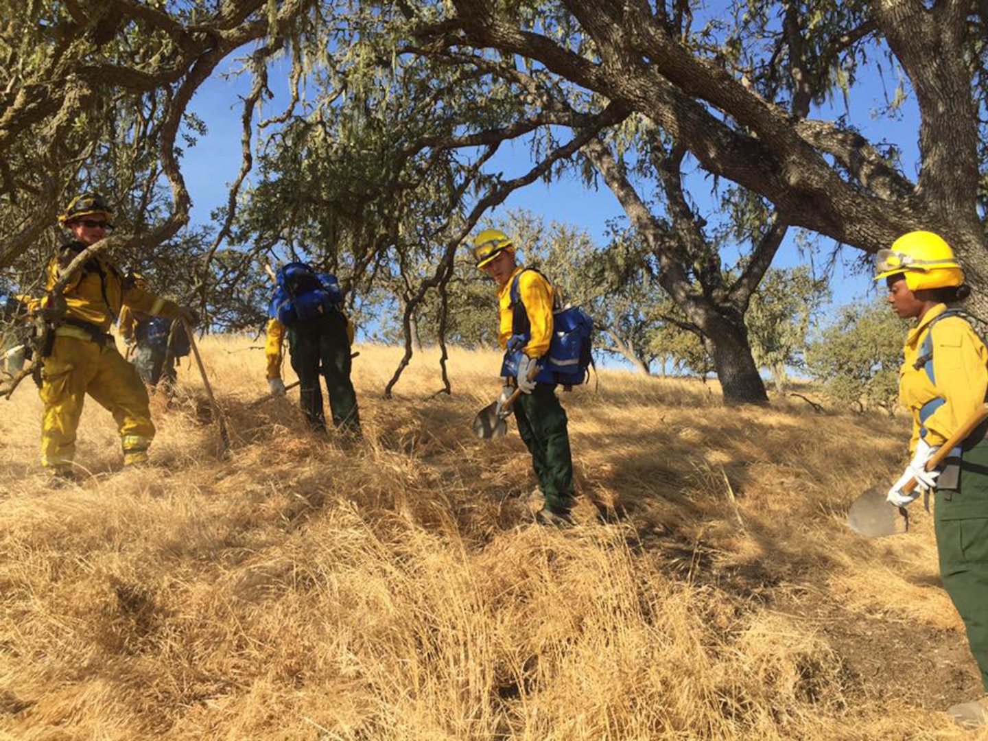 California National Guard Soldiers learn how to cut a line with a shovel Aug. 3, 2016. After a few tries they scraped clean a 3-4 foot wide path free of vegetation.