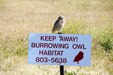 Michael Strauss, an Environmental Protection and Compliance Specialist at Parks Reserve Forces Training Area, was in the perfect place in Dublin, California to snap a shot of a stern burrowing owl in "Keep Away," one of the winners of the "Go Wild" Digital Photography Contest, hosted by U.S. Army Reserve Sustainability Programs.