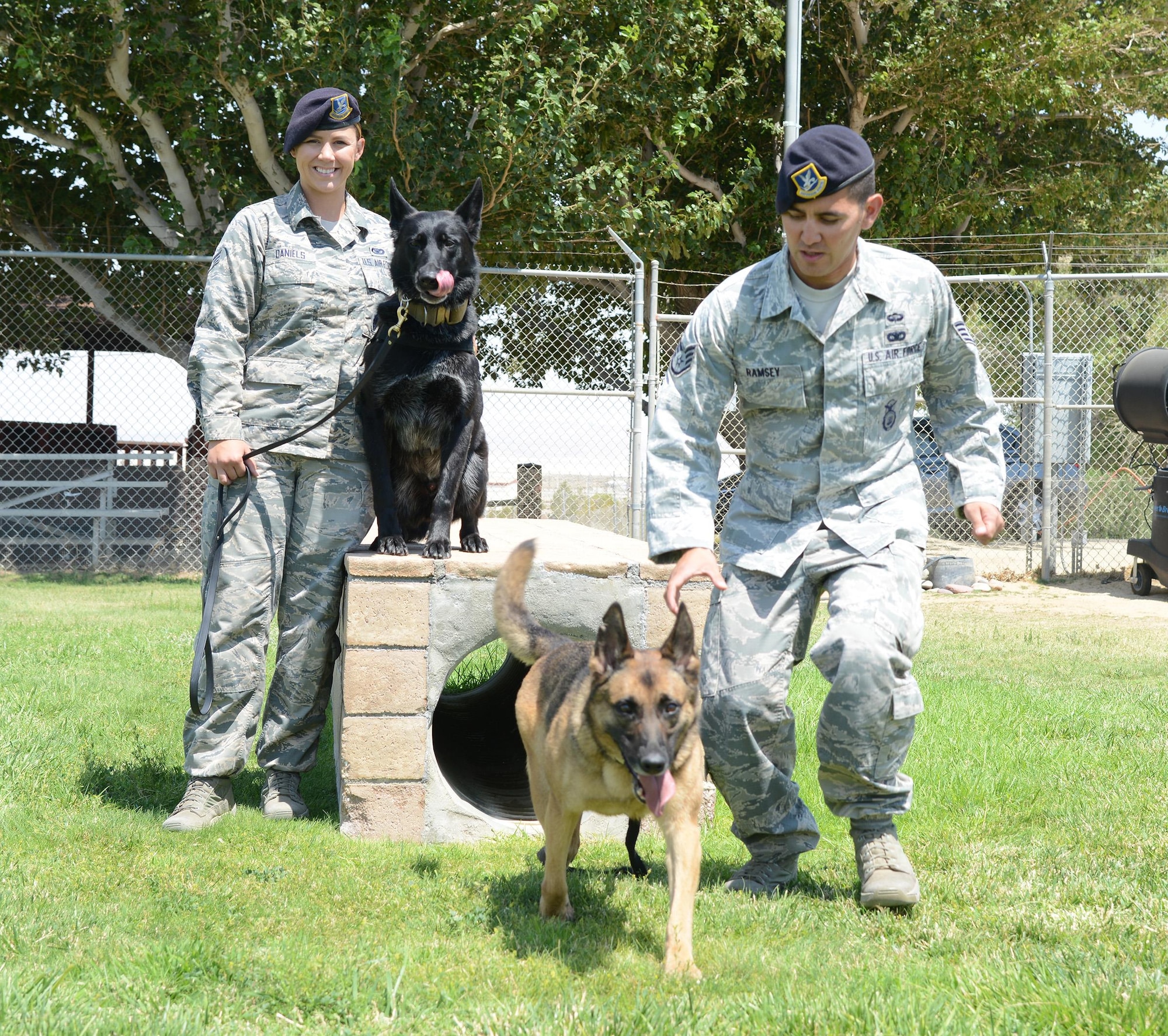 Senior Airman Grace Daniels and her partner Rolf watch as Staff Sgt. James Ramsey and Sasa run through the obstacle course at the 412th Security Forces Squadron’s Military Working Dog facility here. Both 412th SFS K-9 teams were detailed to support the U.S. Secret Service for the Democratic and Republican National Conventions in Cleveland and Philadelphia. (U.S. Air Force photo by Christopher Ball)
