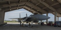 Airmen from the 18th Aircraft Maintenance Squadron await the exit of U.S. Air Force Lt. Col. James McFarland, 67th Fighter Squadron commander, from an F-15 Eagle July 29, 2016, at Kadena Air Base, Japan. This flight was McFarland’s fini flight as the 67th FS commander. The fini flight is a time-honored tradition where the commander of a squadron is recognized for their leadership. (U.S. Air Force photo by Airman 1st Class Lynette M. Rolen)