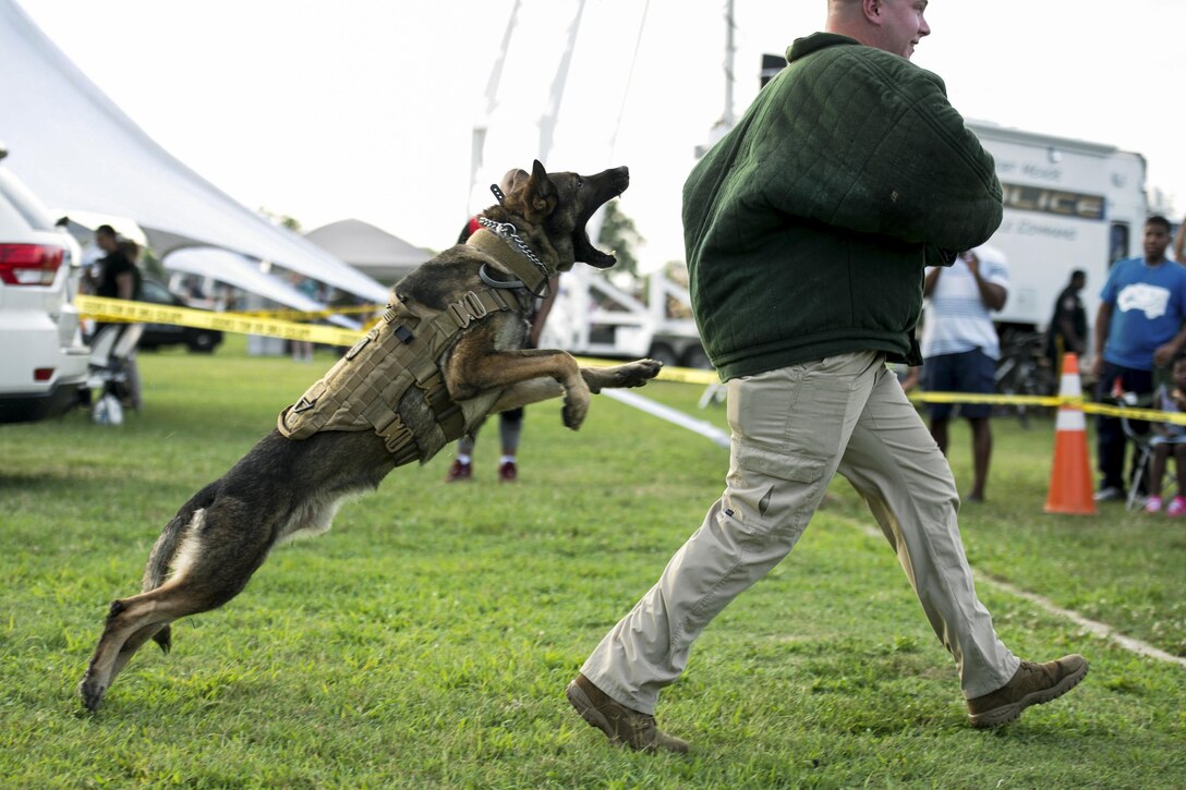 Canto, a military working dog, jumps toward Army Pfc. Patterson, who plays the role of an aggressor during a military working dog demonstration at Fort Meade, Md., Aug., 2, 2016. DoD photo by EJ Hersom