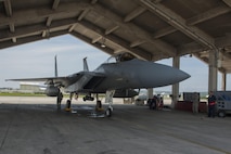 Airmen from the 18th Aircraft Maintenance Squadron await the exit of U.S. Air Force Lt. Col. James McFarland, 67th Fighter Squadron commander, from an F-15 Eagle July 29, 2016, at Kadena Air Base, Japan. This flight was McFarland’s fini flight as the 67th FS commander. The fini flight is a time-honored tradition where the commander of a squadron is recognized for their leadership. (U.S. Air Force photo by Airman 1st Class Lynette M. Rolen)