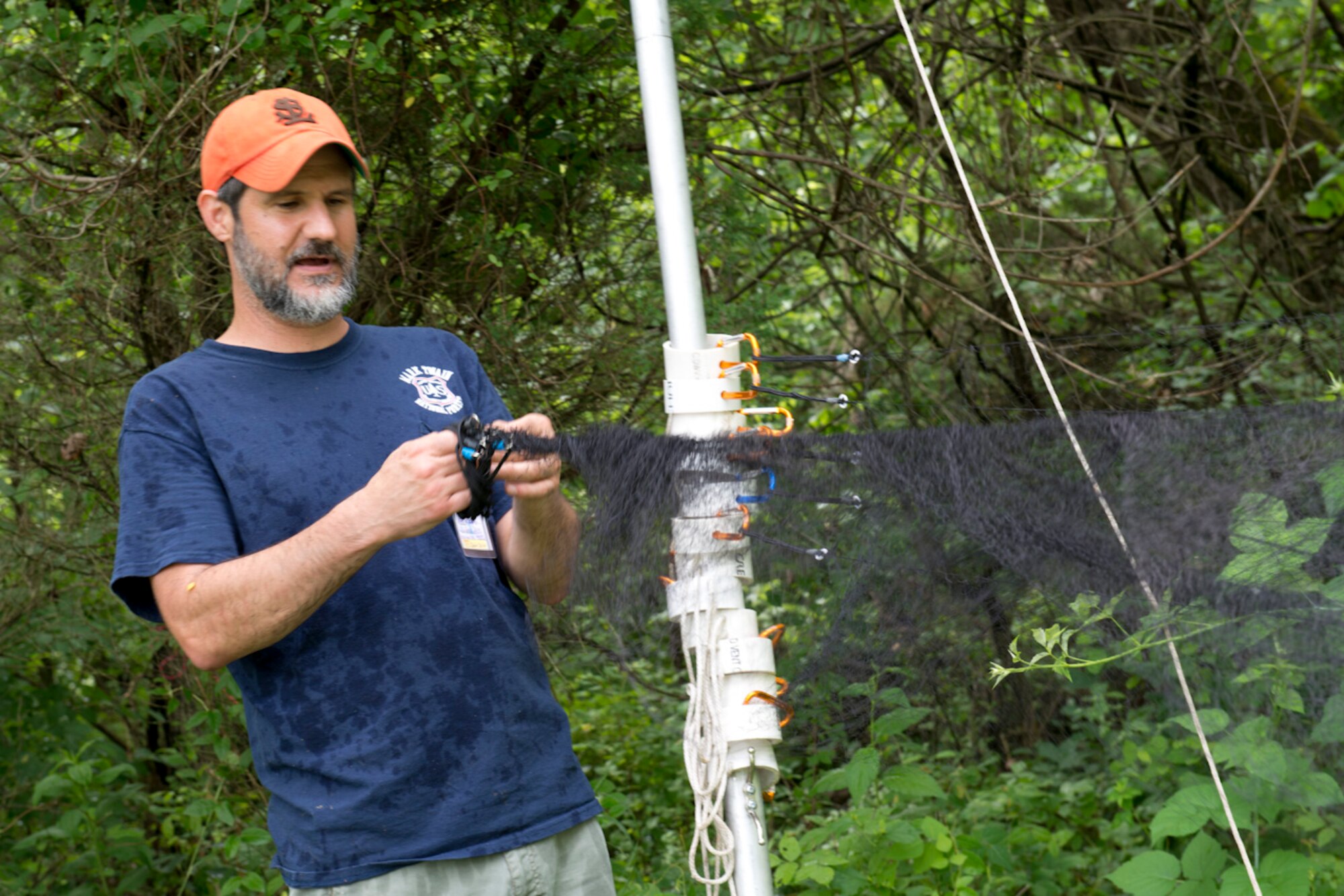 John Tipone, a lead bat biologist for HDR, sets up a fine mesh net designed to catch bats as they travel through tree-lined corridors, as part of a bat survey of the 167th Airlift Wing property, June 23. The National Guard Bureau contracted with HDR to conduct searches at several installations for the northern long-eared bat which was recently listed as a threatened species. (U.S. National Guard photos by Senior Master Sgt. Emily Beightol-Deyerle)