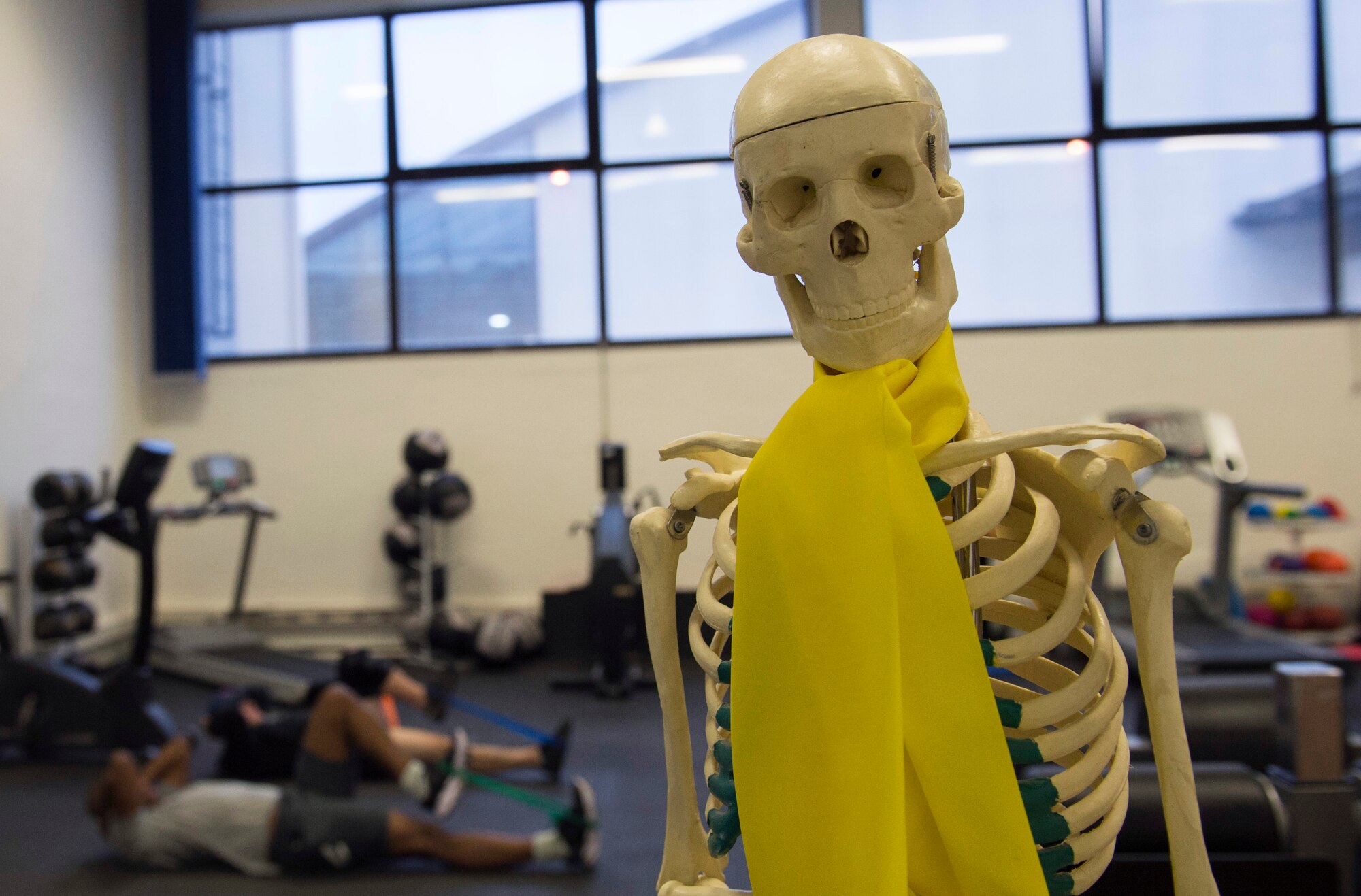 The 86th Medical Operations Squadron Physical Therapy Clinic utilize resistance bands to assist patrons’ recovery from chronic or acute injuries in order to return to their duties as soon as possible. The clinic uses resistance bands for exercises during the hour-long knee and back rehabilitation classes. (U.S. Air Force photo/ Senior Airman Nesha Humes)