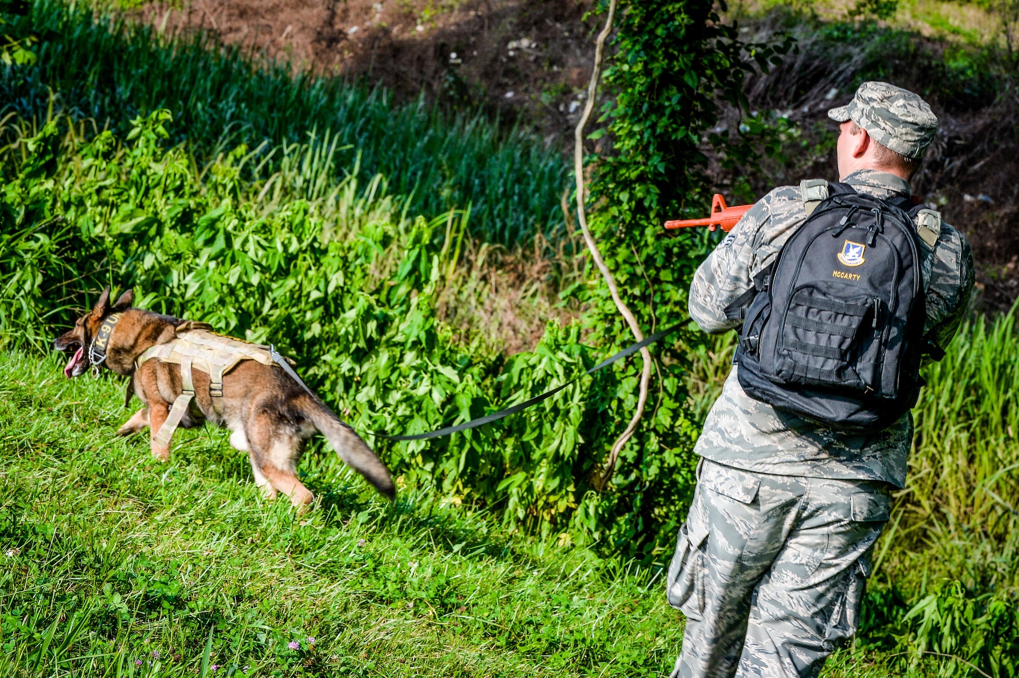 Senior Airman Brandon McCarty, 2nd Security Forces Squadron military working dog handler, looks for simulated improvised explosive devices during training at Barksdale Air Force Base, La., July 19, 2016. MWD teams work together to identify simulated IEDs and trigger pressure plates buried underground. This exercise provided the team with a safe environment to sharpen skills used in daily applications on and off base. (U.S. Air Force photo/Senior Airman Mozer O. Da Cunha)