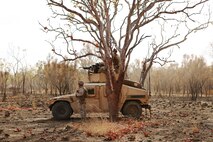 Marines with Combined Anti-Armored Team, 1st Battalion, 1st Marine Regiment, stop to scan for targets while training in maneuvering through a wooded area in a convoy operation at Bradshaw Field Training Area, Northern Territory, Australia Aug. 8, 2016. The Marines are taking part in Exercise Koolendong 16 and are part of the Marine Rotational Force-Darwin.