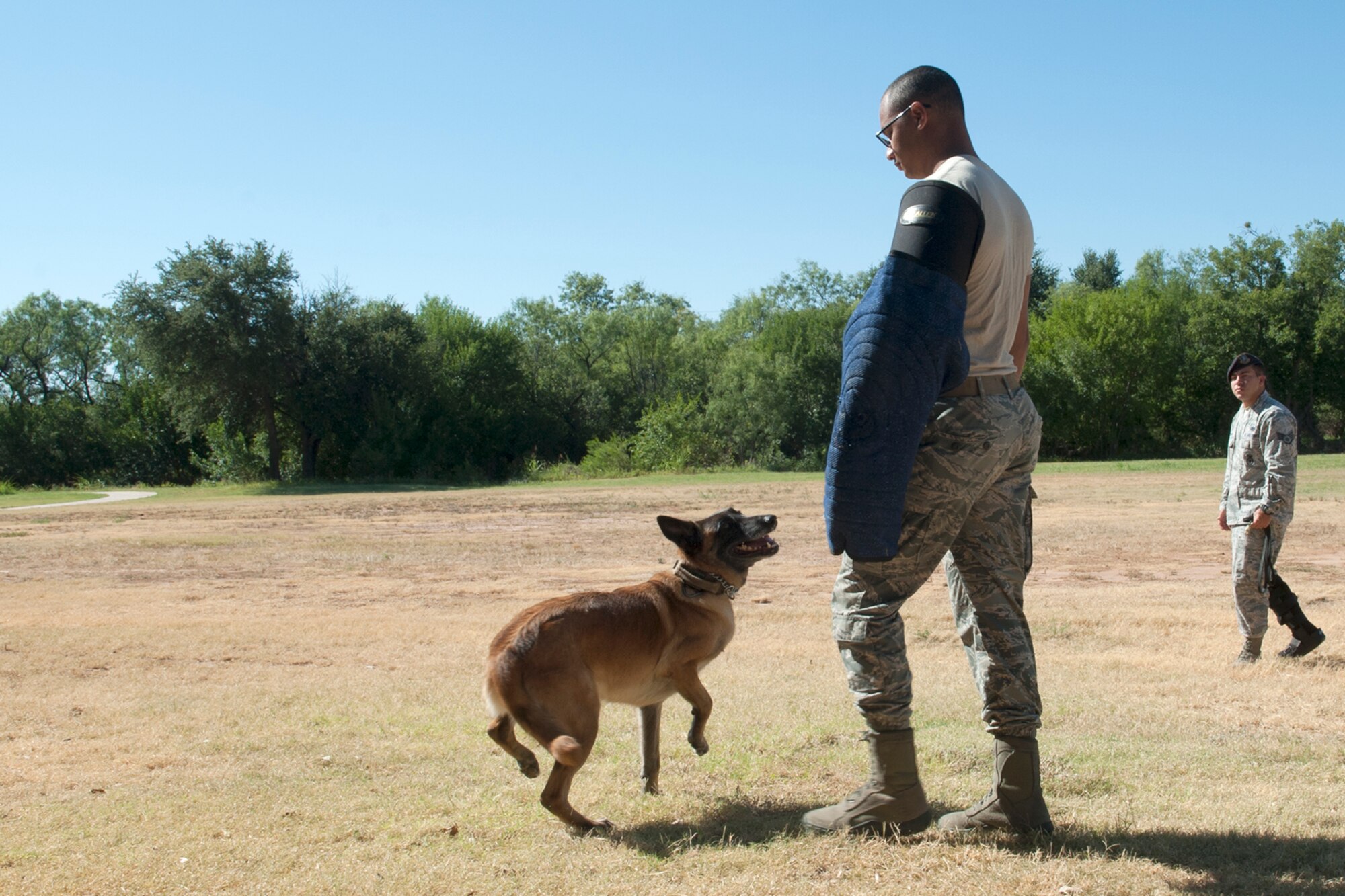 Joy, 17th Security Forces Squadron military working dog, ensures Senior Airman Gage Reece, 17th SFS patrolman, follows Staff Sgt. Tyler Wiseman’s, 17th SFS MWD kennel master, directions during a demonstration at Rio Vista Head Start, San Angelo, Texas, Aug. 4, 2016. The 17th SFS MWD unit provided the demonstration to support community relations between Goodfellow Air Force Base and San Angelo. (U.S. Air Force photo by Staff Sgt. Laura R. McFarlane/Released)