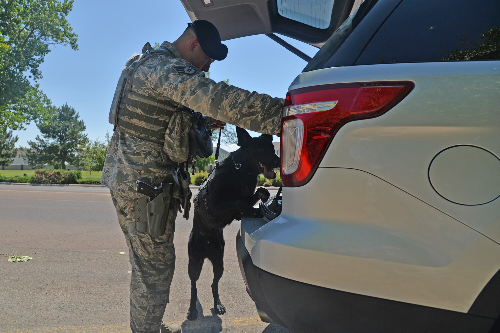 Staff Sgt. Antonio Gallegos, 341st Security Forces Squadron military working dog handler, and his K-9 Eric, search a vehicle Aug. 8, 2016, at Malmstrom Air Force Base, Mont. Gallegos and Eric searched vehicles while serving as a detection team during the Republican and Democratic National Conventions. (U.S. Air Force photo/Airman 1st Class Daniel Brosam)
