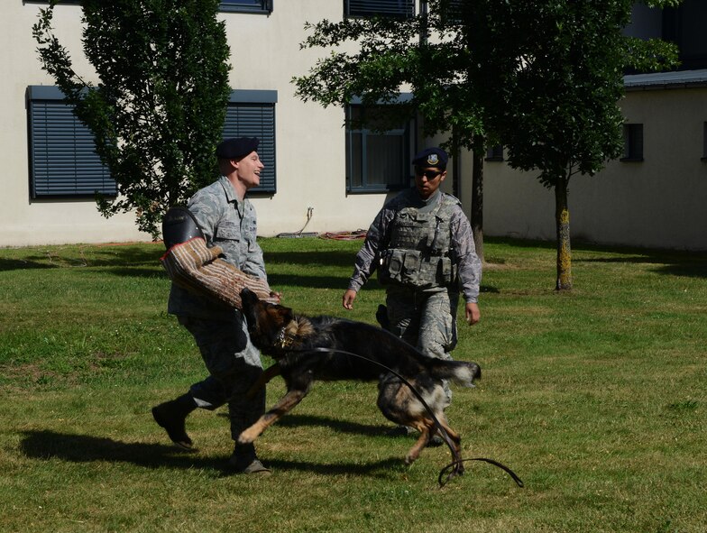Staff Sgt. Ricky Leitzel, left, 86th Security Forces military working dog trainer, and Staff Sgt. Jessica Santana, 86th SFS MWD handler, conduct a K-9 demonstration Aug. 5, 2016, at Ramstein Air Base, Germany. The demonstration was part of a block party hosted by the Ramstein Enlisted Club for Department of Defense cardholders and their families. (U.S. Air Force photo/ Airman 1st Class Joshua Magbanua)