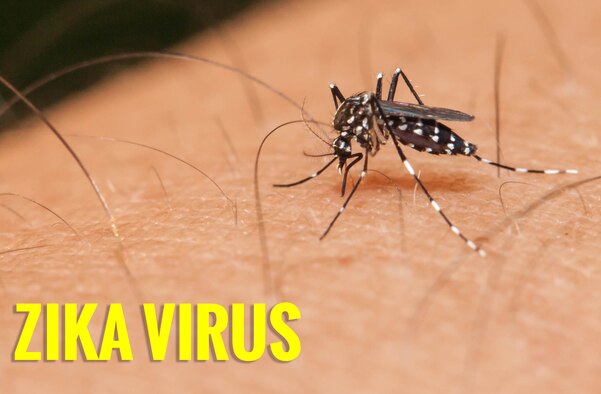 Zika virus graphic