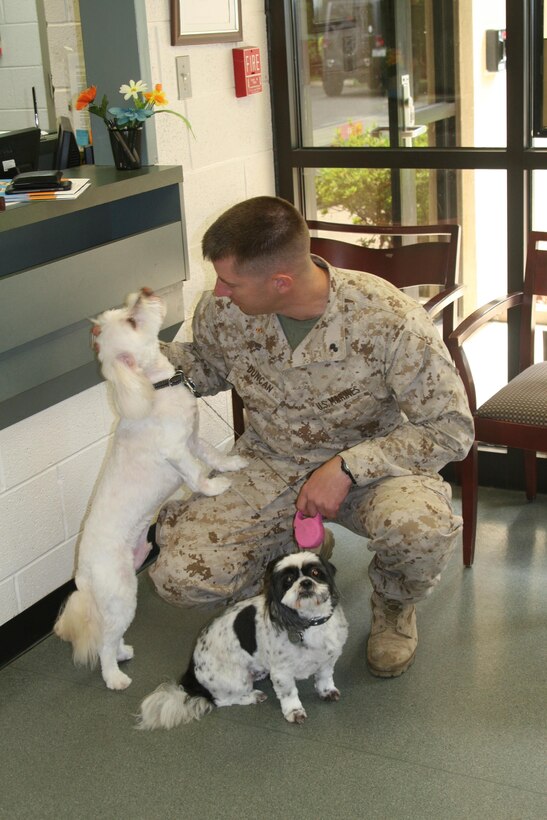 Chief Warrant Officer 2 Gunner Duncan with his dogs Scruffy and Maya, who attended the clinic Aug. 2 to get blood tests done prior to their move to Hawaii this fall.
