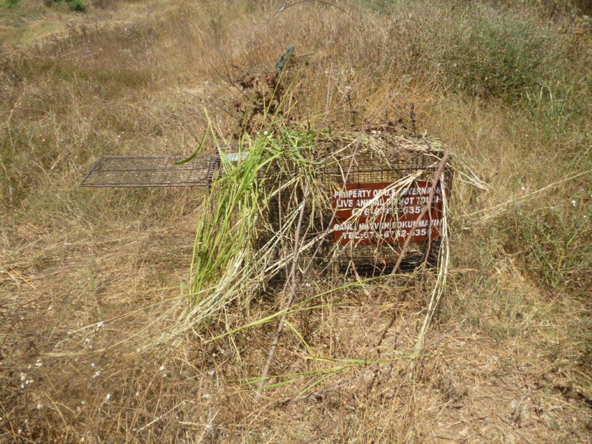 A live animal trap covered with foliage sits in a field on Incirlik Air Base, Turkey. The 39th Civil Engineer Squadron pest management flight utilizes humane traps to catch stray and wild animals roaming the base such as cats, dogs and foxes. (Courtesy photo)