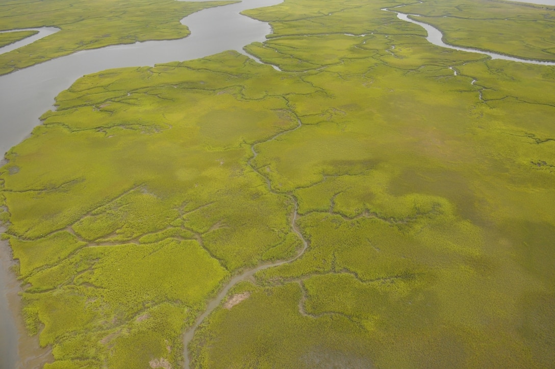 An aerial overview of green, water-filled saltwater marshes captured during Undersecretary of the Army Patrick Murphy's visit to the Savannah District Aug. 11, 2016. 