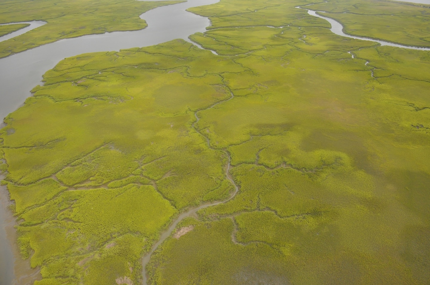An aerial overview of green, water-filled saltwater marshes captured during Undersecretary of the Army Patrick Murphy's visit to the Savannah District Aug. 11, 2016. 