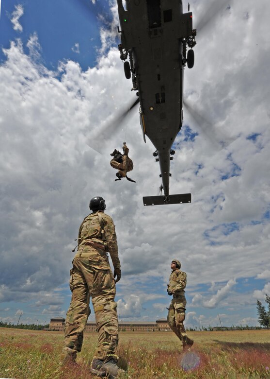 A U.S. Army military working dog handler and his K-9 ascend to a U.S. Air Force Reserve HH-60 during joint training at Fort Drum, NY, Aug. 3. Members of the 305th and 306th Rescue Squadrons from Davis-Monthan Air Force Base, Ariz., worked with the 8th Military Police Detachment, 91st Military Police Battalion, to ensure both the Airmen and MPs knew how to hoist the dogs into and out of rescue helicopters. (U.S. Air Force photo by Carolyn Herrick)