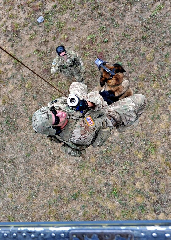 A K-9 handler from the 8th Military Police Detachment, 91st Military Police Battalion, hangs on as he's hoisted with his working dog into a 305th Rescue Squadron HH-60 Aug. 3 at Fort Drum, NY, while Tech. Sgt. Gary Waltz, a 306th Rescue Squadron Survive, Evade, Resist, Escape (SERE) specialist, assists from the ground. Approximately 50 Air Force Reserve Airmen from the 943rd Rescue Group deployed for training to the East coast for joint operations July 31 to Aug 12. (U.S. Air Force photo by Carolyn Herrick)