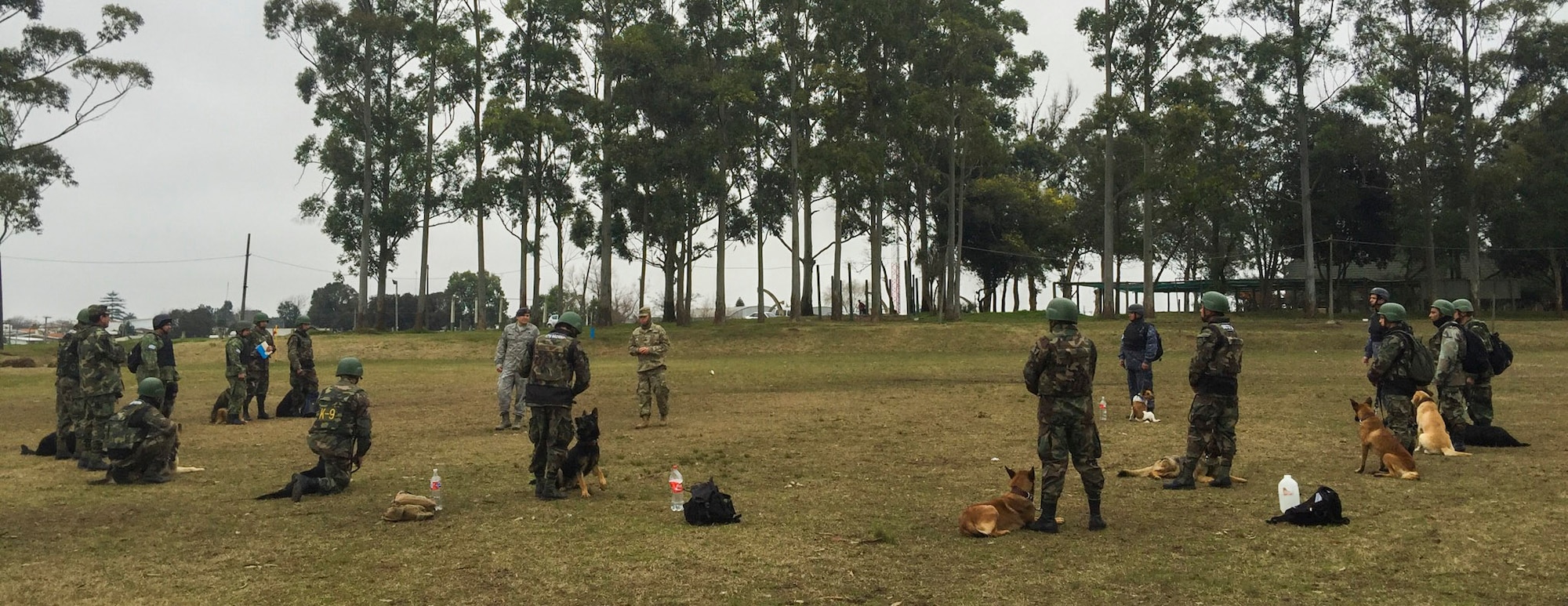 Uruguayan military members train with their military working dogs during a nine day training event facilitated by 12th Air Force (Air Forces Southern) and the U.S. Embassy in Montevideo, Uruguay, Aug. 4, 2016. (Courtesy Photo)