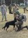 Uruguayan military members train with their military working dogs during a nine-day training event facilitated by 12th Air Force (Air Forces Southern) and the U.S. Embassy in Montevideo, Uruguay, Aug. 12, 2016. (Courtesy photo)