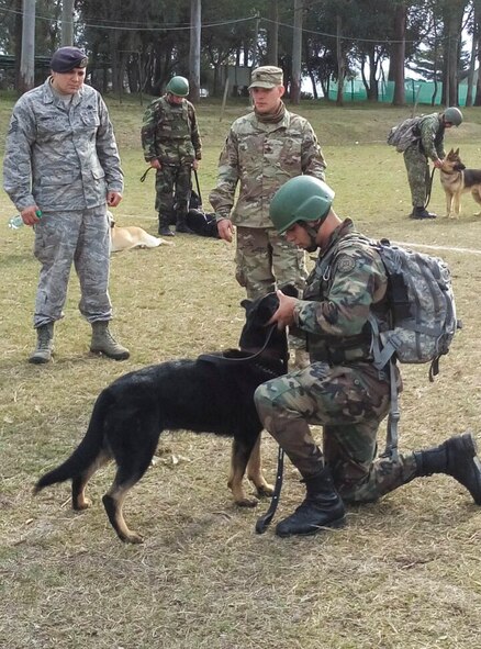 Uruguayan military members train with their military working dogs during a nine-day training event facilitated by 12th Air Force (Air Forces Southern) and the U.S. Embassy in Montevideo, Uruguay, Aug. 12, 2016. (Courtesy photo)
