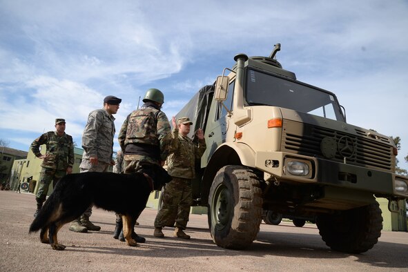 Uruguayan military members train with their military working dogs during a nine-day training event facilitated by 12th Air Force (Air Forces Southern) and the U.S. Embassy in Montevideo, Uruguay, Aug. 11, 2016. (Courtesy photo)
