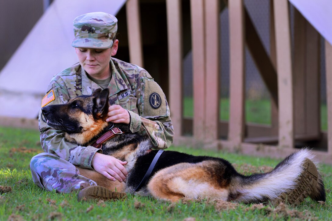 Army Sgt. Kara M. Yost and Rock, her military working dog, take a break after running through the obstacle course during training at Fort Meade, Md., Aug. 11, 2016. DoD photo by Sebastian “Bill” Sciotti Jr.

