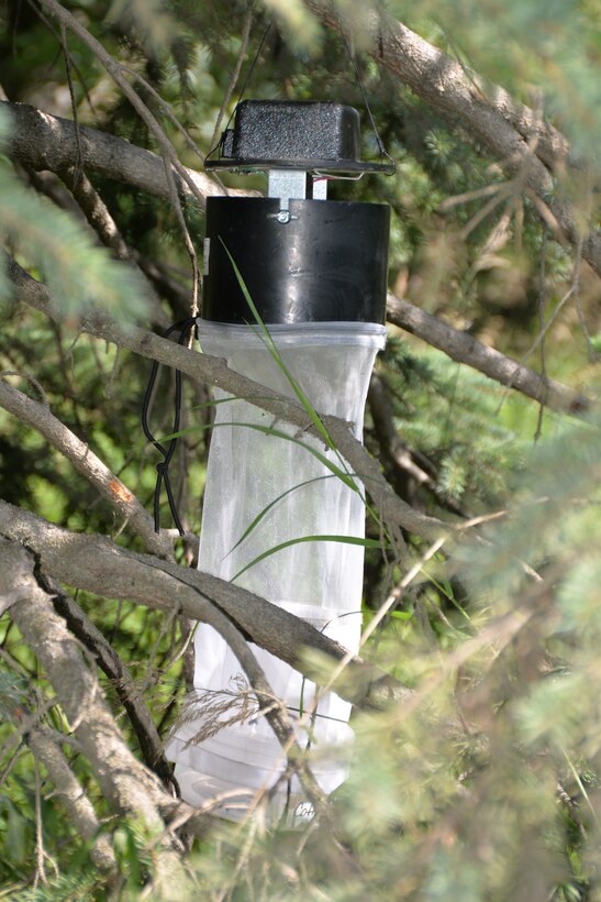 Airmen from the 134th Medical Group Public Health helped place these mosquito traps at eight different locations around Joint Base Elmendorf- Richardson, Alaska during a temporary duty assignment July 10-19. It is imperative to test mosquitos to make sure they are not carrying any diseases that could endanger the local population. (U.S. Air National Guard photo by: Senior Airman Melissa Dearstone)