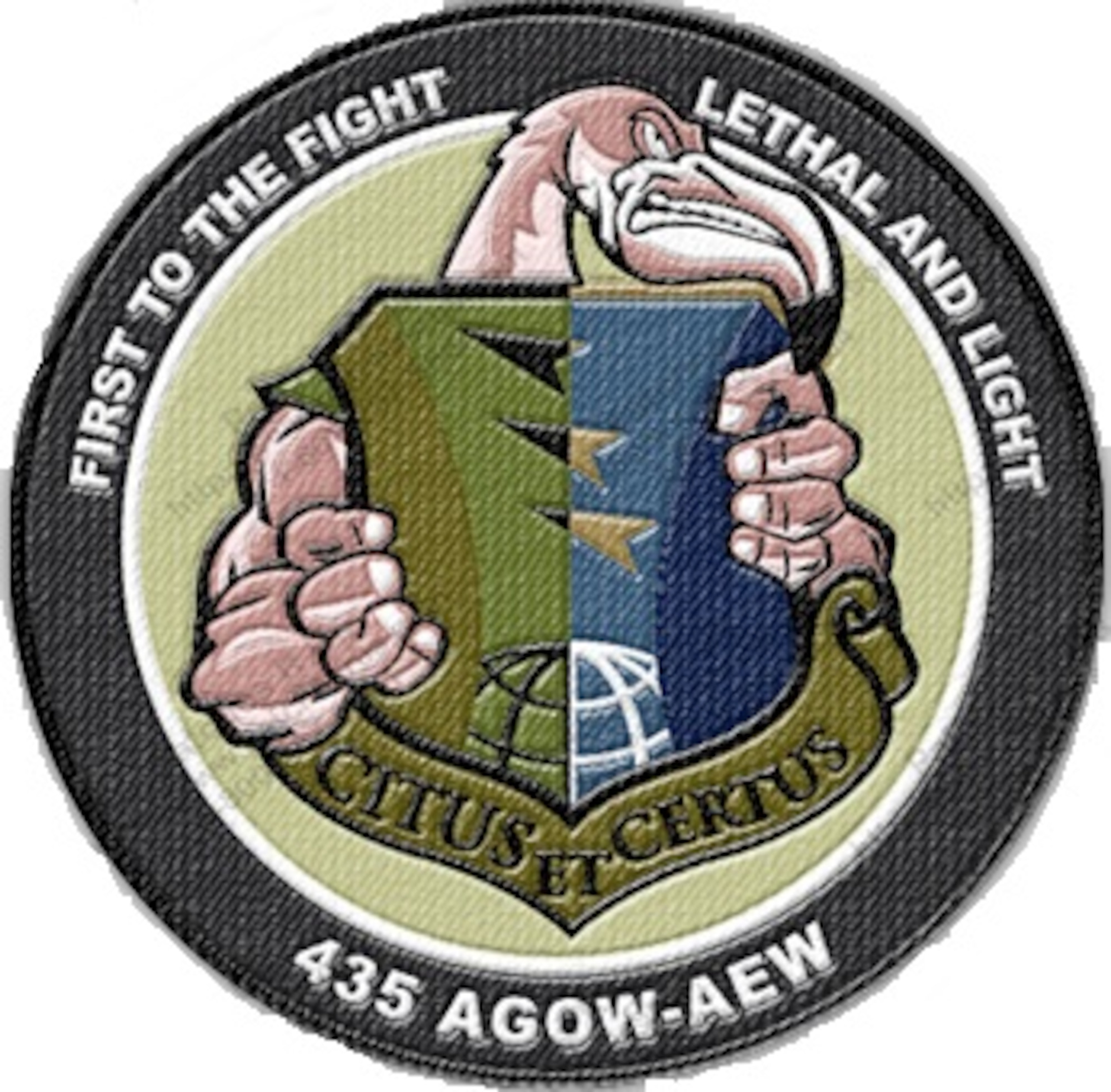 Fightin' Flamingo morale patch for 435th Air Ground Operations Wing and 435th Air Expeditionary Wing. (Courtesy graphic)

