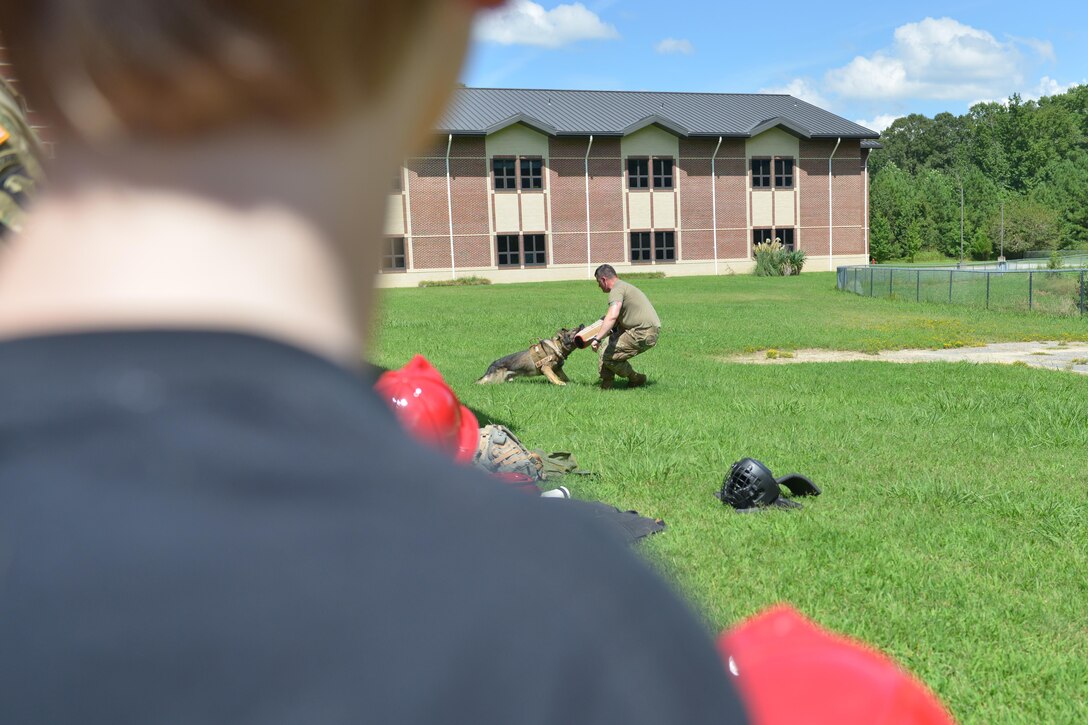 U.S. Army Sgt. Nathan Luker, 3rd Military Police Detachment military working dog handler, conducts an MWD demonstration during the Fort Eustis community block party at Fort Eustis, Va., Aug. 12, 2016. The block party not only brought the community together, but supplied individuals with back-to-school information and supplies. (U.S. Air Force photo by Staff Sgt. Natasha Stannard)